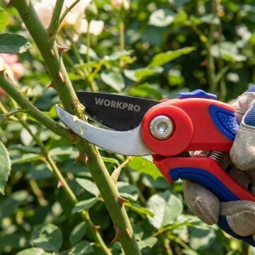WORKPRO WP332001 180mm Profesyonel Bağ Bahçe Dal Budama Makası