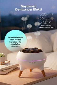 Leerfei 250 ml LED Aydınlatmalı Aroma Nemlendirici