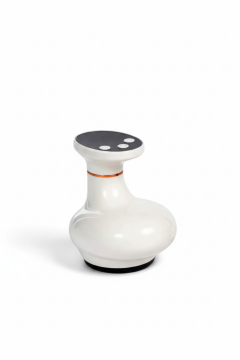 AnadoluStrong Çok Fonksiyonlu Sağlık ve Masaj & Hacamat Cihazı ZY816