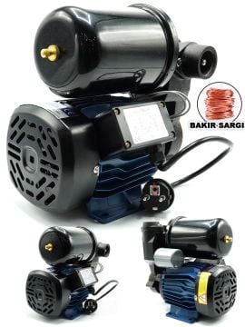 Germany Style DGP130 Sıcak Suya Dayanıklı Bakır Sargı 0.5 Hp Paket Hidrofor Su pompası