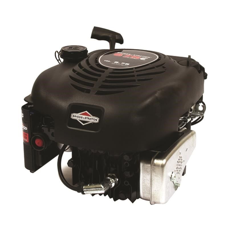 Brıggs B-QXTS60 Tek Motor Quantum 6.75 Hp